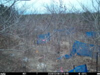 Feb 8 2026  7:13:48, #01