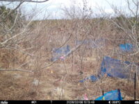 Feb 8 2026 10:13:48, #01