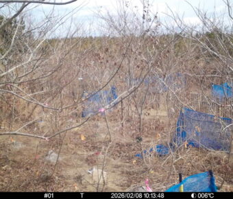 Feb 8 2026 10:13:48, #01