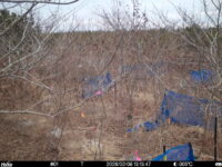 Feb 8 2026 13:13:47, #01