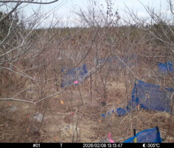 Feb 8 2026 13:13:47, #01