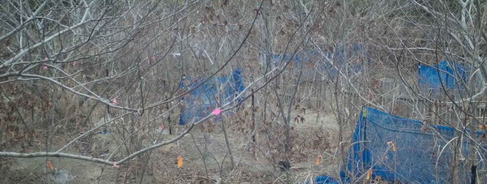 Feb 8 2026 16:13:48, #01