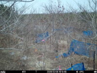 Feb 8 2026 16:13:48, #01