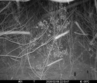 Feb 8 2026 22:13:47, #01