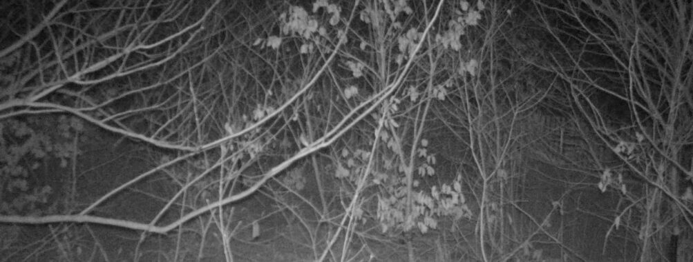 Feb 9 2026  1:13:46, #01