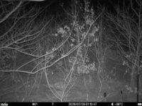 Feb 9 2026  1:13:46, #01