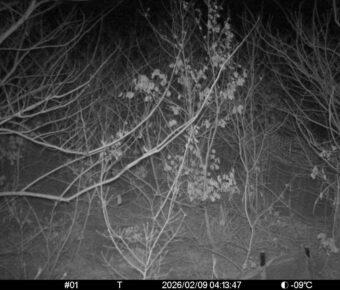 Feb 9 2026  4:13:47, #01