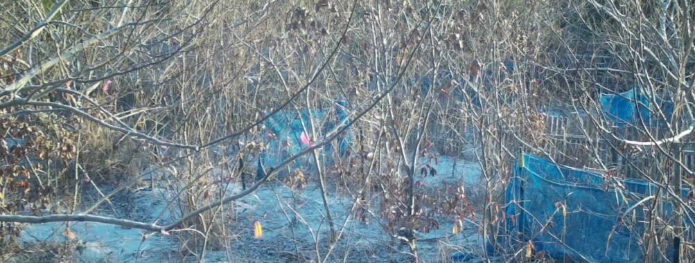 Feb 9 2026  7:13:47, #01