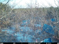 Feb 9 2026  7:13:47, #01