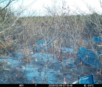 Feb 9 2026  7:13:47, #01