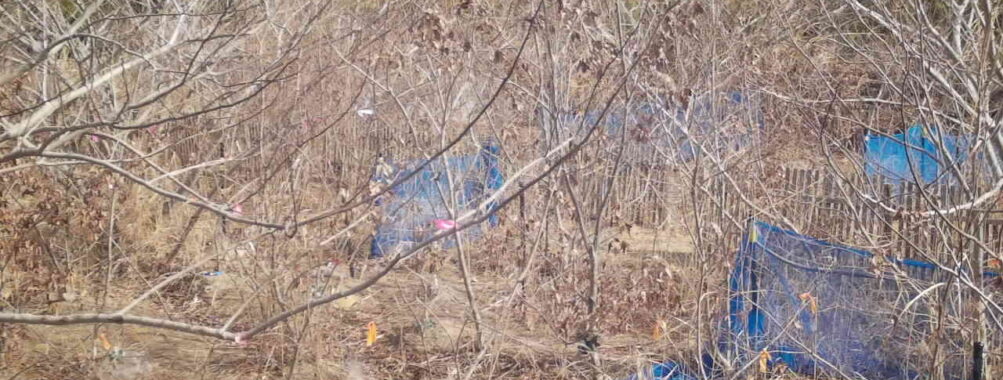 Feb 9 2026 10:13:48, #01