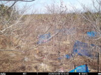 Feb 9 2026 10:13:48, #01