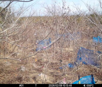 Feb 9 2026 10:13:48, #01