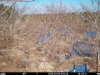 Feb 9 2026 13:13:48, #01