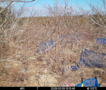 Feb 9 2026 13:13:48, #01