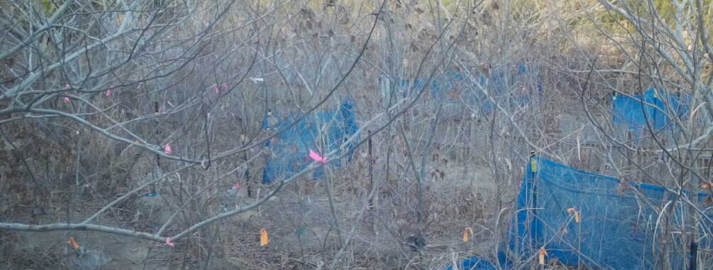 Feb 9 2026 16:13:47, #01