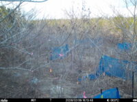 Feb 9 2026 16:13:47, #01