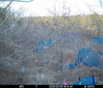 Feb 9 2026 16:13:47, #01