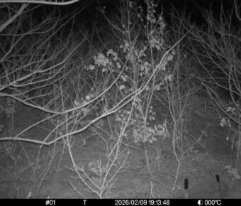 Feb 9 2026 19:13:48, #01