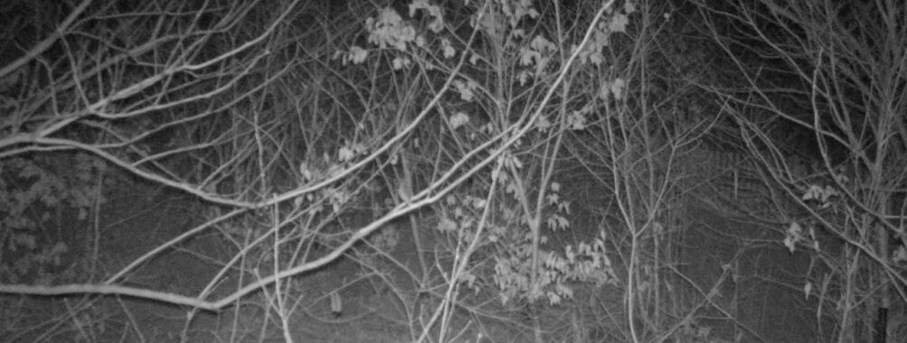 Feb 10 2026  1:13:47, #01