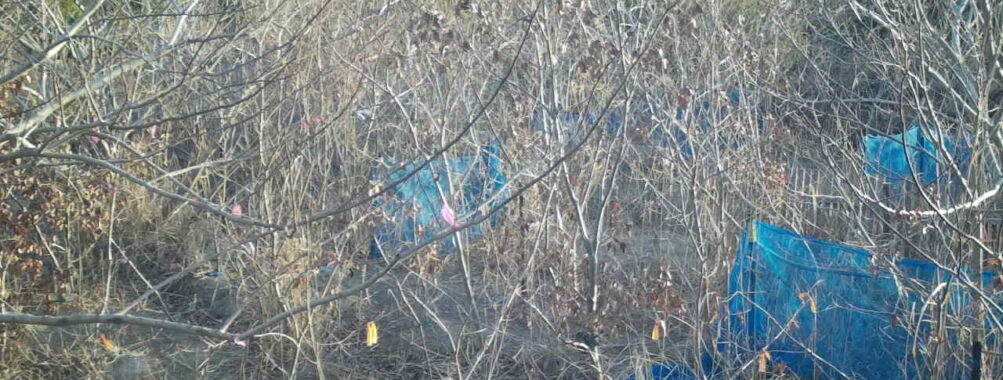 Feb 10 2026  7:13:48, #01