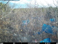 Feb 10 2026  7:13:48, #01