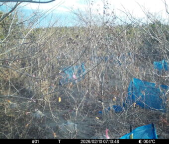 Feb 10 2026  7:13:48, #01