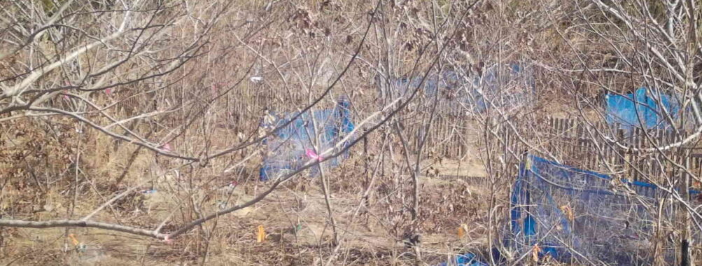 Feb 10 2026 10:13:48, #01