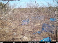 Feb 10 2026 10:13:48, #01