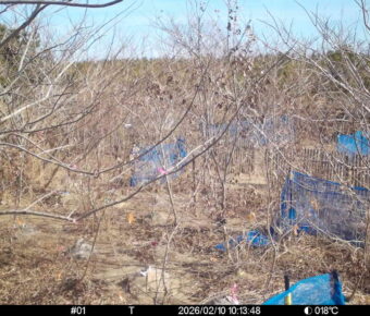 Feb 10 2026 10:13:48, #01