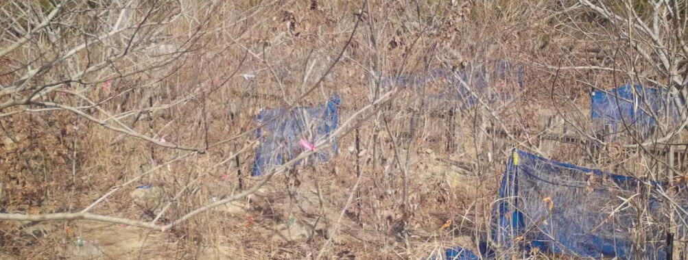 Feb 10 2026 13:13:48, #01