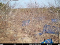 Feb 10 2026 13:13:48, #01