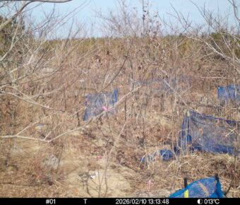 Feb 10 2026 13:13:48, #01