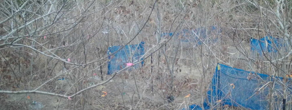 Feb 10 2026 16:13:48, #01