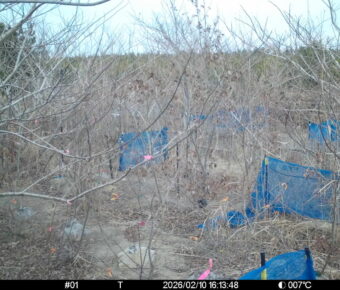 Feb 10 2026 16:13:48, #01