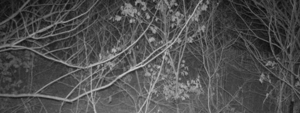 Feb 10 2026 19:13:48, #01