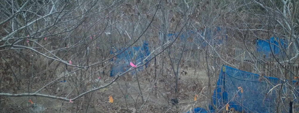 Feb 11 2026  7:13:48, #01