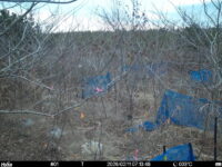 Feb 11 2026  7:13:48, #01