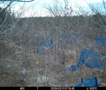 Feb 11 2026  7:13:48, #01