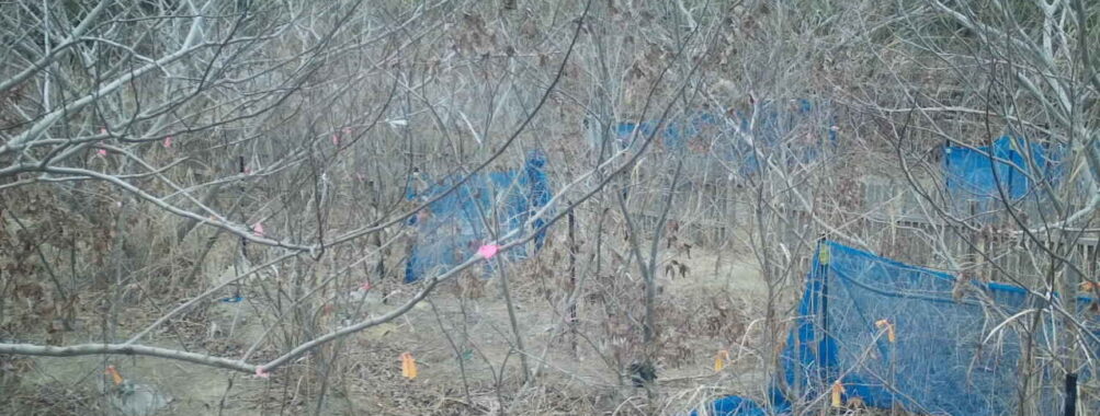 Feb 11 2026 10:13:48, #01