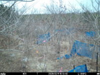 Feb 11 2026 10:13:48, #01