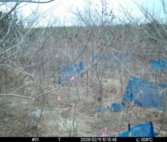 Feb 11 2026 10:13:48, #01