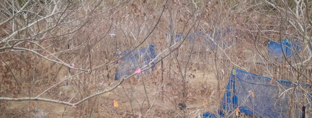 Feb 11 2026 13:13:48, #01