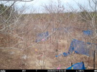 Feb 11 2026 13:13:48, #01