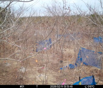 Feb 11 2026 13:13:48, #01