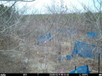 Feb 11 2026 16:13:48, #01