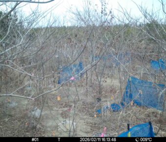 Feb 11 2026 16:13:48, #01