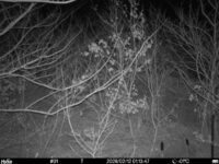 Feb 12 2026  1:13:46, #01