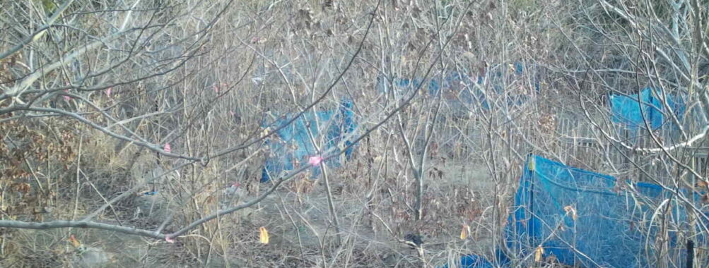 Feb 12 2026  7:13:47, #01