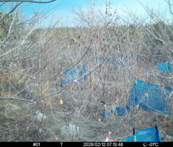 Feb 12 2026  7:13:47, #01